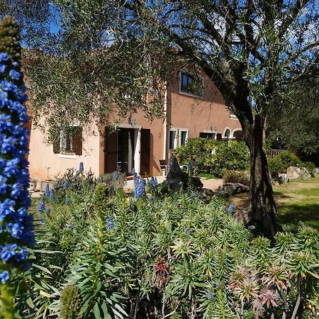 Chambre D'Hotes Domaine Pero Longo Sartène Rom bilde